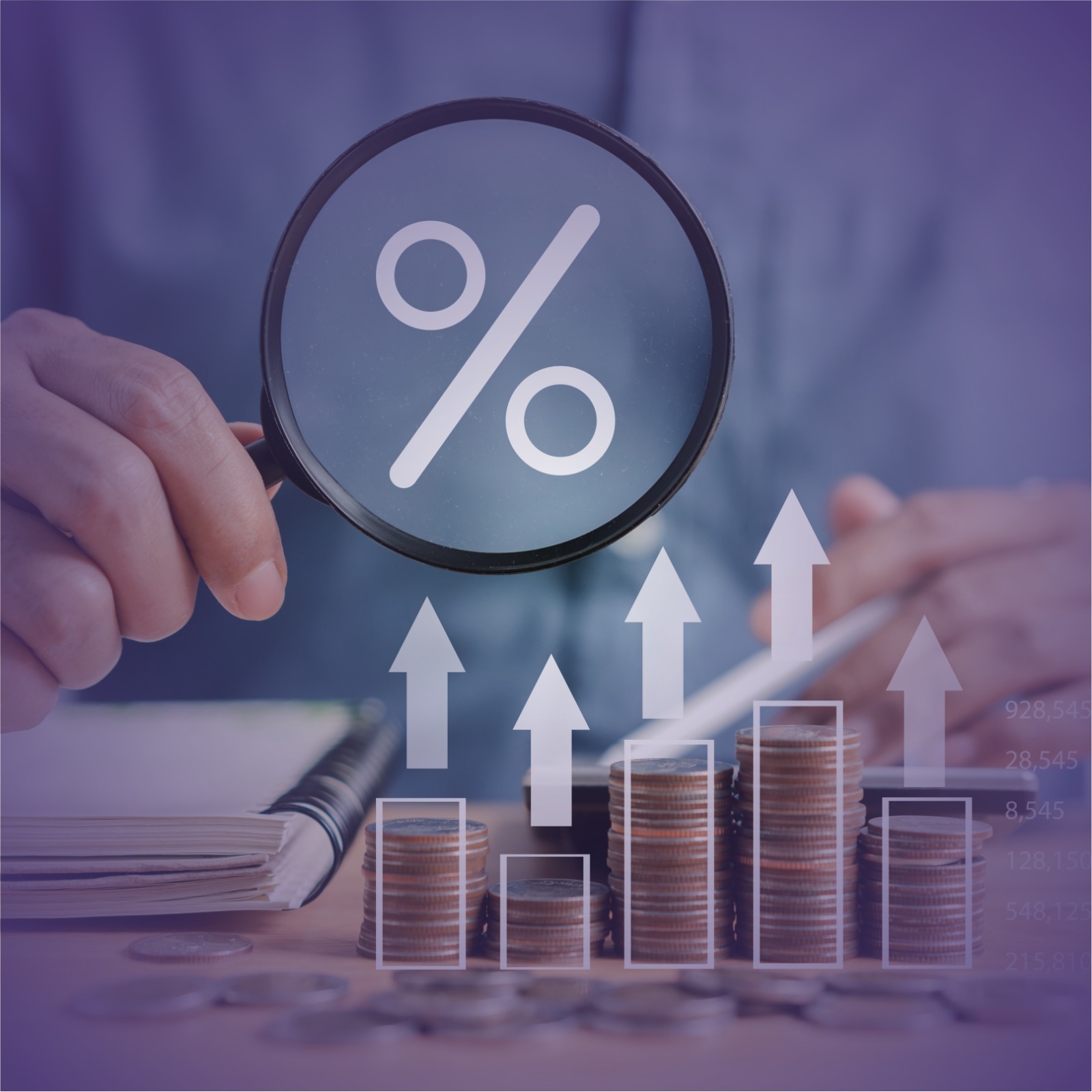 COMO AS TAXAS DE JUROS AFETAM O CRÉDITO?